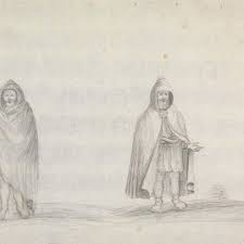 Image result for Discopodium penninervium