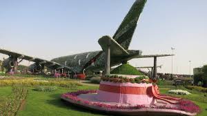 View garden gate flowers, in plants & gardening stores category. Dubai Miracle Garden Absurdity In The Desert Rachel S Ruminations