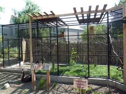 Outdoor Bird Aviary For Sale Nz Australia Adventure Bird Aviary Blank Park Zoo Gallery Bird Aviary Aviary For Sale Aviary