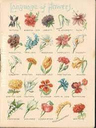 Inkspired Musings October Flower Cosmos Language Of Flowers And A Halloween Paperdoll Language Of Flowers Victorian Flowers Flower Meanings