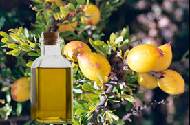Argan is known for its fragrance and protection of the hair and skin, used as a traditional beauty treatment for centuries. Argan Oil For Hair Benefits