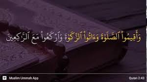 Tafsir surat al baqarah 183. Surah Al Baqarah Ayat 43 Qs 2 43 Tafsir Alquran Surah Nomor 2 Ayat 43