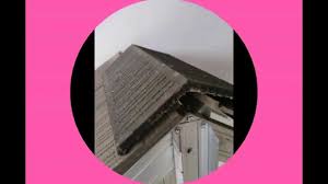 Mengenai penjelasan produk yang kami tawarkan ini dapat anda tinjau pada bagian penjelasan, berikut di bawah ini pilihan harga yang dapat disesuaikan dengan yang anda inginkan. Harga Genteng Beton Flat 2014 Jual Genteng Beton Di Surabaya 082186148884 Youtube