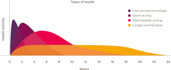 Comparing Types Of Insulin Humalog