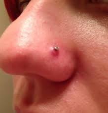 Nose Rings The Things No One Tells You Rvoilers Com