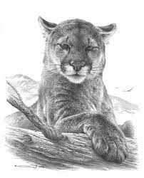 Mountain lion tattoo black and grey. Pin On Lion Tattoo