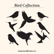 Kätzchen und katzen vorlagen als schablone zum ausdrucken und ausmalen. Gratisvektoren Vogel Silhouetten 300 Illus Im Ai Eps Format