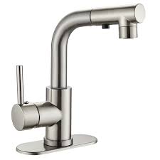 Bathroom Faucets With Pull Down Sprayer