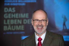 Image result for Carapa wohllebenii