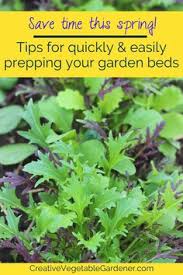 Maybe you would like to learn more about one of these? 180 Raised Garden Beds Ideas In 2021 Raised Garden Raised Garden Beds Garden Beds
