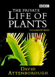 And, using remarkable imagery, he shows plants breathing. The Private Life Of Plants Wikipedia