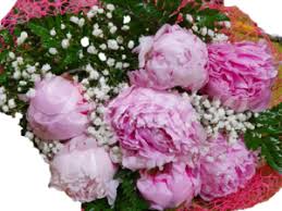 Regala bellissimi ed eleganti bouquet di fiori per augurare buon bouquet e mazzi di fiori a partire da 29 €. Mazzi Di Fiori Baingio Di Pierangela Di Falchi Pierpaolo