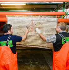 Professionelle teppichreinigung in einem büro mit vereinzelten flecken. Teppichwascherei In Hamburg Teppichreinigung Heinig