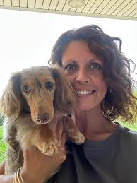 Copper Ridge Dachshunds