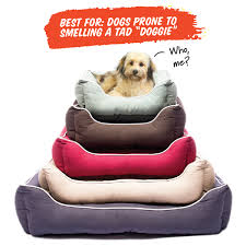 38x55 extra large dog bed with middle support. Extra Large Dog Beds For Great Danes Australia