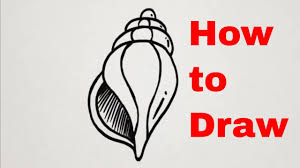 How to draw a simple conch shell. How To Draw Seashells Easy Step By Step Drawing Tutorial Youtube