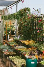 Maybe you would like to learn more about one of these? The Best Plant Shops In Los Angeles Black Blooms