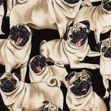 As a dog lover, you probably go to pieces over adorable puppies too! 55cm X 50cm Fat Quarter Dog Breeds Brown 100 Cotton Quilting Fabric