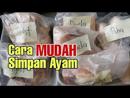 ( bahan stok ayam) 6 keping ayam bahagian tight 2 inci halia 3 ulas bawang putih air secukupnya kiub pati ayam. Cara Cuci Dan Simpan Ayam Dalam Peti Ais Youtube