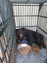 Images?q=tbn:ANd9GcRBOTWLqGZh5BXJWmZqV9jpFNGaRlE7TIDF1IR ASW0FVQ1xApNoGmQokza4bgBZkRiQPI&usqp=CAU