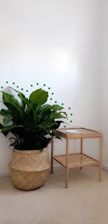 Ikea Nesna Ft Peace Lily In 2020 Nesna Room Themes Decor