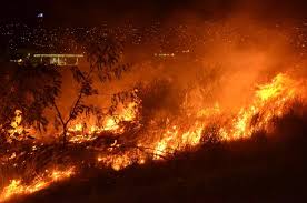 La gente que no vaya al lugar, es muy evidente la cortina de humo que hay, exhortamos a la gente que no acuda, por eso cerramos vialidades, dijo en entrevista para aw 1280 con gladys zavaleta. Incendio Consume Maleza De Rio Santa Catarina