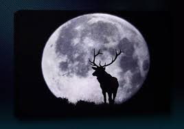 Solunar Tables The Ultralight Hiker Thunder Moon Full Buck Moon Super Moon