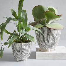 Find all variants of west elm available at discounted prices and offers. Best Modern Pots And Planters From West Elm Apartment Therapy