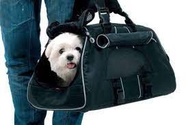 mozhno li s sobakoj v metro pravila blog vetkliniki belanta