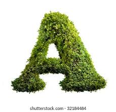That covers both lower and upper case letters, and each week's task is to come up with 100 versions for every letter. Similar Images Stock Photos Vectors Of One Letter Of Bush Alphabet 32184484 Shutterstock