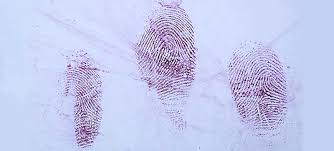 Enhancement Of A Footwear Impression In Blood On White Nylon/Lycra... |  Download Scientific Diagram