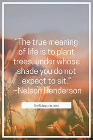  Katherine Selima Pearlsnflats Profile Pinterest