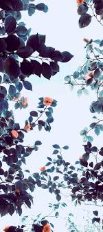 One or two wallpapers from the collection are common because of funtouch os but the rest are unique and different. Vivo V20 2021 Wallpapers Stock 1080x2400 Hd Free Download