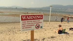 High levels of E. coli prompt swim warning at Vancouver beaches ...