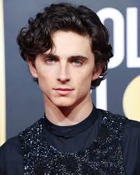 According to deadline, timothée is set to play willy wonka in a new origin story.the film will be a musical. Timothee Chalamet 10 Curiosities About The Actor Of The King And Call Me By Your Name Potret Diri Fotografi Ide
