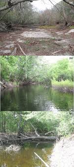 She also read her poignant poem at riverfest 2019, a first for riverfest. Historical Usgs Photographs Of A Santa Fe River At Worthington Download Scientific Diagram
