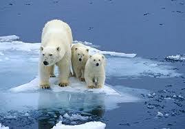 Editorial: Ho-hum. Climate change is bad and getting worse | Editorial |  stltoday.com
