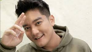 Profil/Biodata Boy William: Umur, Agama, Pasangan, Orang Tua, dan Profesi