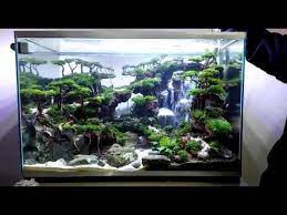 Curug Siranda Waterfall Aquascape Youtube Aquascape Design Aquarium Landscape Aquascape