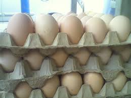 Setelah semua bahan tersedia, kamu bisa memulai proses lama maksimal perendaman telur adalah dua minggu, jika lebih dari itu rasanya bisa terlalu asin. Telur Ayam Isi 2 Kuning Untungkan Konsumen Sumut24