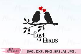 Download L O V E B I R D S V G Zonealarm Results