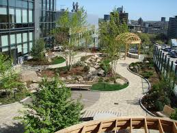 Yale University Smilow Cancer Hospital By Towers Golde Greenroof Roof Garden Terrace Garden Design Terrace Garden