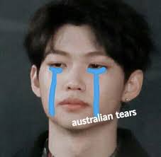 Pin By Emily Mateer On Memes Kid Memes Crying Meme Crying Meme Face