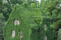 Der botanische garten eschwege lädt jung und alt zum verweilen und zum kennenlernen der z.t. Botanischer Garten Landeskulturdenkmal Des Landes Hessen Stabsabteilungen
