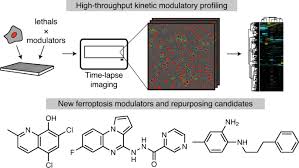 All of the winners from the personal injury awards, held in manchester on 27 november 2019, are revealed #piawards. A Compendium Of Kinetic Modulatory Profiles Identifies Ferroptosis Regulators Nature Chemical Biology