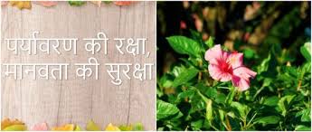Fraudsters duping fmcg businessmen after gaining their trust. Slogans On Environment In Hindi Environment Day Slogans In Hindi Environment Day Quotes In Hindi Save