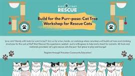 Cat Tree Making Workshop with Ruff Start Rescue
