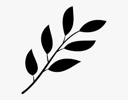 Green leaf png images, png leaves photo and picture. Leaves Png White Black And White Leaf Png Transparent Png Transparent Png Image Pngitem
