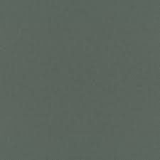 Image result for Dark Spruce 2000 Dodge