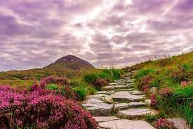 Check spelling or type a new query. Ultimate 7 Day Ireland Itinerary Your Remarkable Road Trip Maps N Bags National Parks Ireland Travel Backpacking Ireland